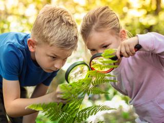 „Co robię dla Matki Ziemi?”